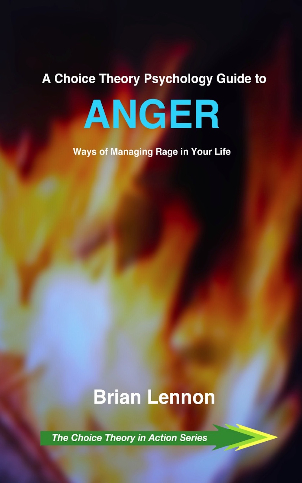 Cover of A Choice Theory Psychology Guide to Anger